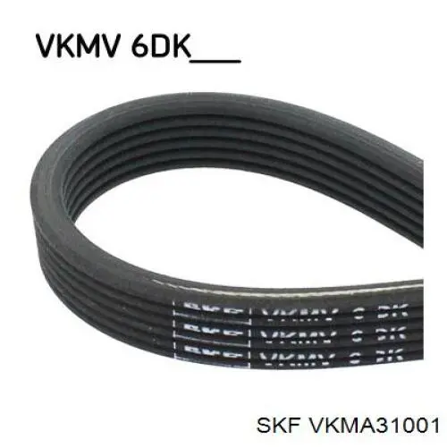 VKMA 31001 SKF correa de transmisión