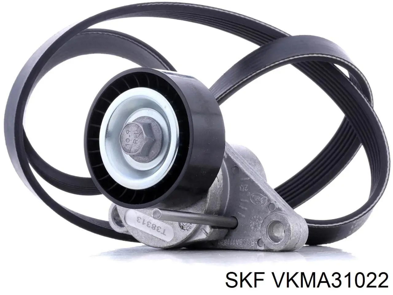 VKMA 31022 SKF correa de transmisión