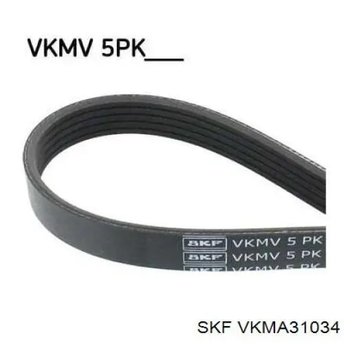 VKMA31034 SKF correa de transmisión