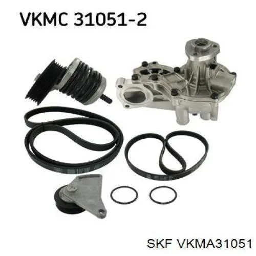 VKMA31051 SKF correa de transmision, juego completo