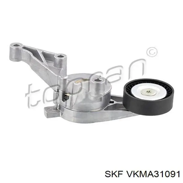 VKMA 31091 SKF correa de transmision, juego completo