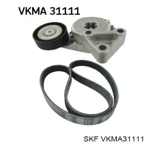 VKMA31111 SKF correa de transmisión