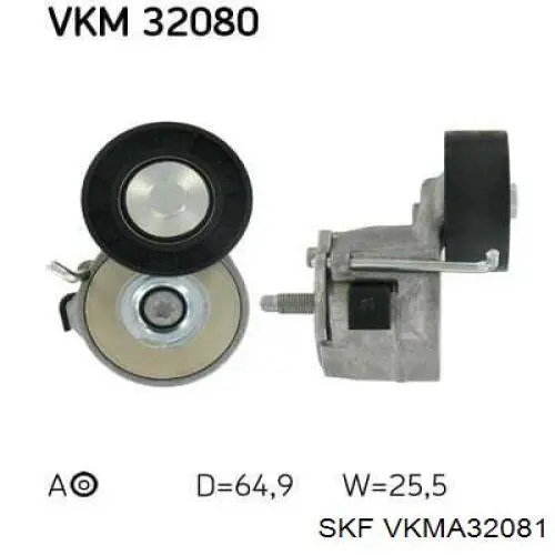 VKMA32081 SKF correa de transmisión