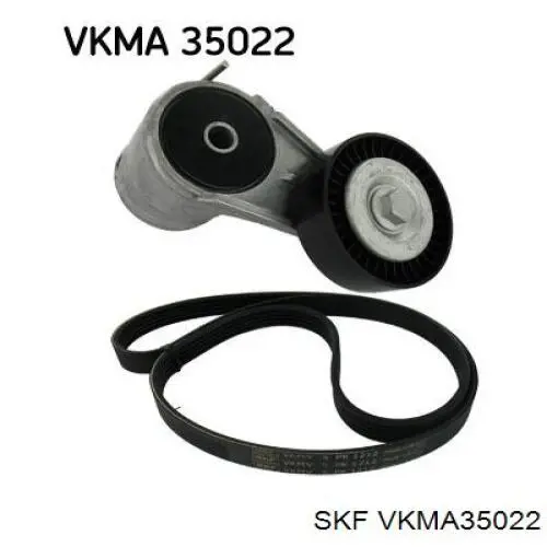VKMA35022 SKF correa de transmisión