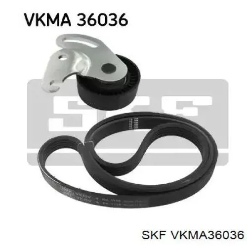 VKMA 36036 SKF correa de transmision, juego completo