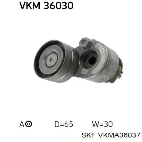 VKMA36037 SKF correa de transmisión