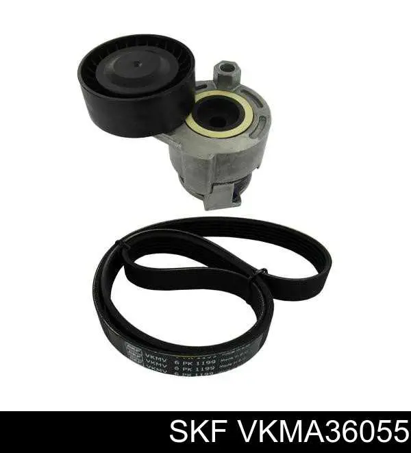 Correa de transmisión, juego SKF VKMA36055 precio, desde 49,08 EUR