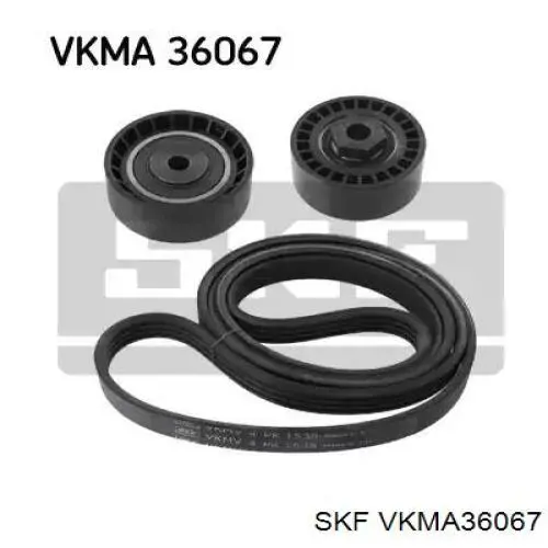 VKMA 36067 SKF correa de transmision, juego completo