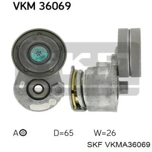 VKMA36069 SKF correa de transmisión