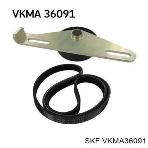 VKMA 36091 SKF correa de transmisión