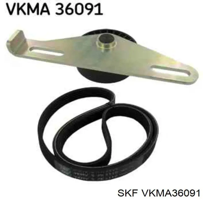 Correa de transmisión, completo SKF VKMA36091 precio, desde 44,04 EUR