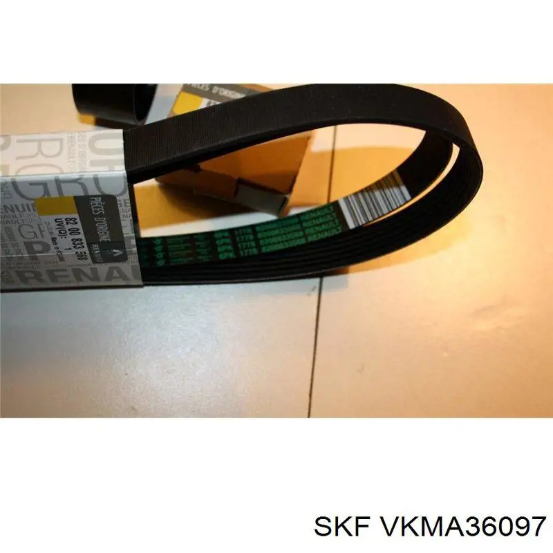 VKMA36097 SKF correa de transmisión