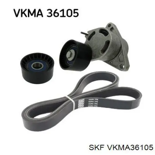 Comprar VKMA36105 SKF Correa de transmisión