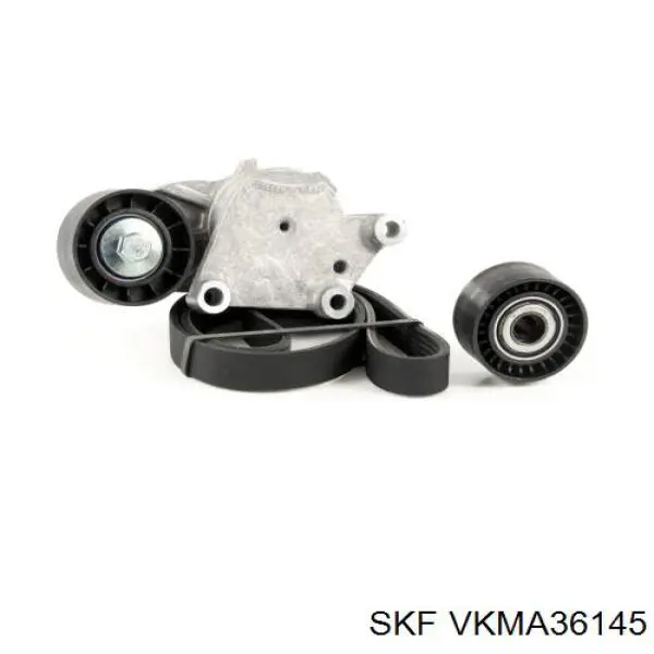 Comprar VKMA36145 SKF Correa de transmisión