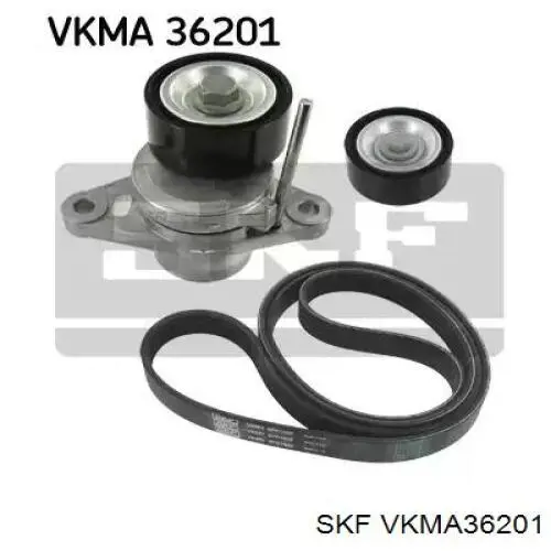 Correa de transmisión, juego SKF VKMA36201 precio, desde 78,16 EUR