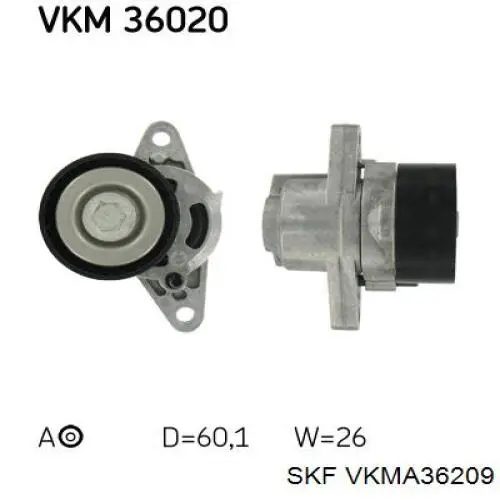 VKMA36209 SKF correa de transmision, juego completo