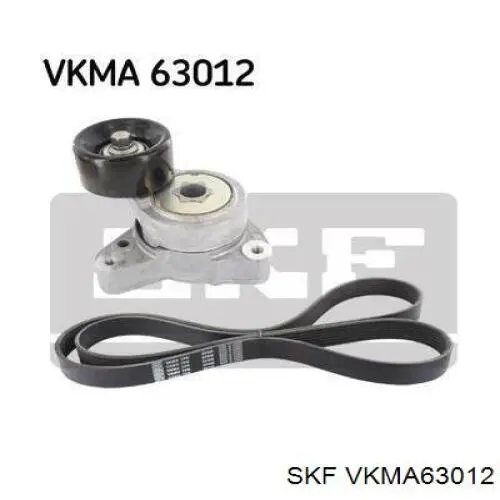 Correa de transmisión para Honda Accord CL, CM