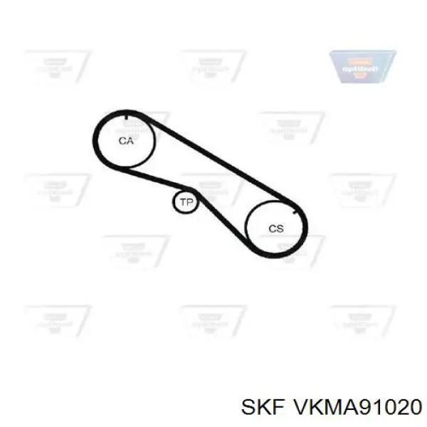 Juego de correas dentadas SKF VKMA91020 precio, desde 89,30 EUR