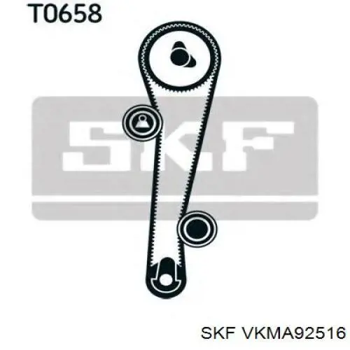Juego de correas dentadas Continental/Siemens CT1005K1 precio, desde 96,91 EUR