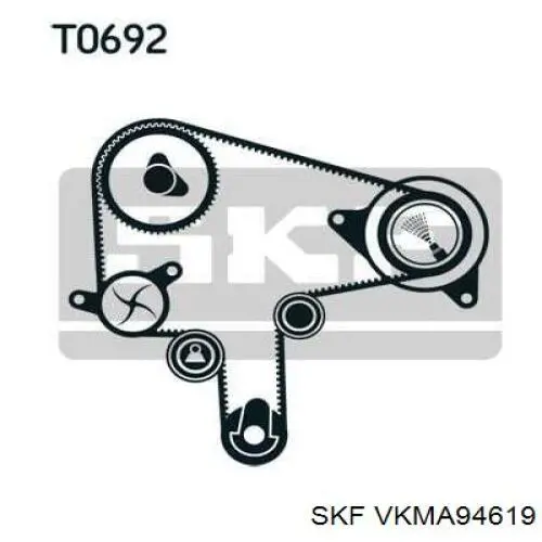 VKMA94619 SKF kit de correa de distribución