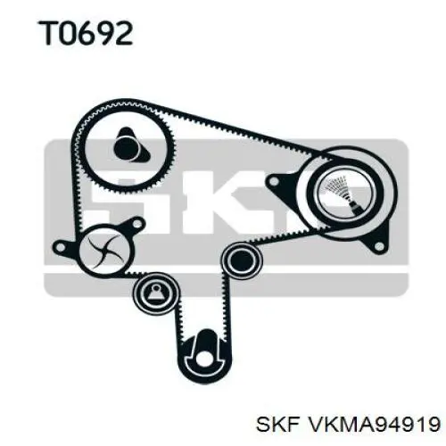 VKMA94919 SKF kit de correa de distribución