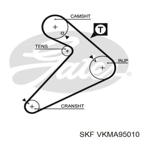 VKMA 95010 SKF kit de distribución