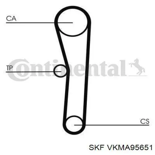 Juego de correas dentadas SKF VKMA95651 precio, desde 58,22 EUR