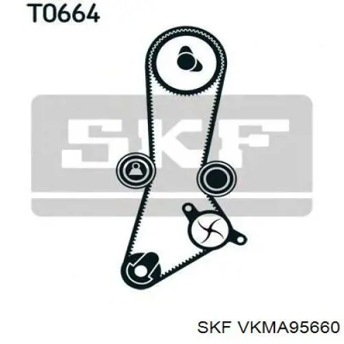 VKMA 95660 SKF kit de correa de distribución