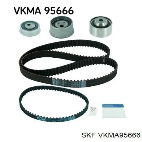 VKMA 95666 SKF kit de correa de distribución