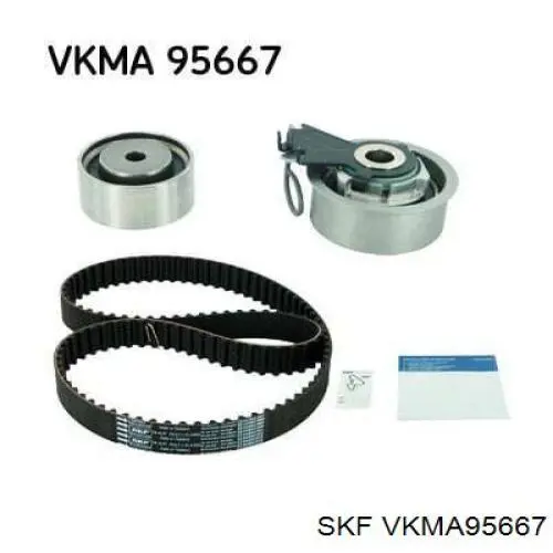 VKMA 95667 SKF kit de correa de distribución