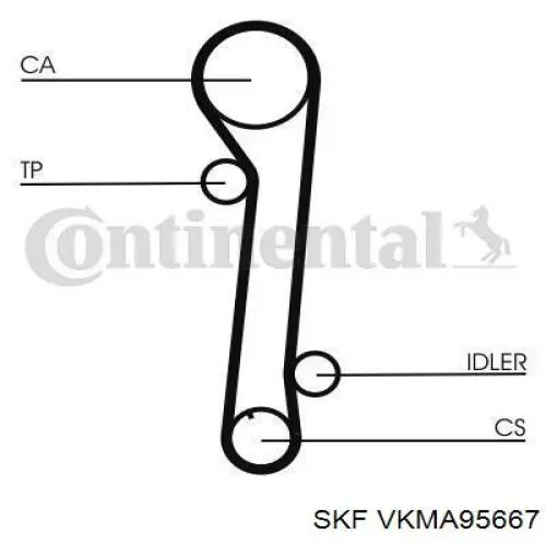 Comprar VKMA95667 SKF Kit de correa de distribución