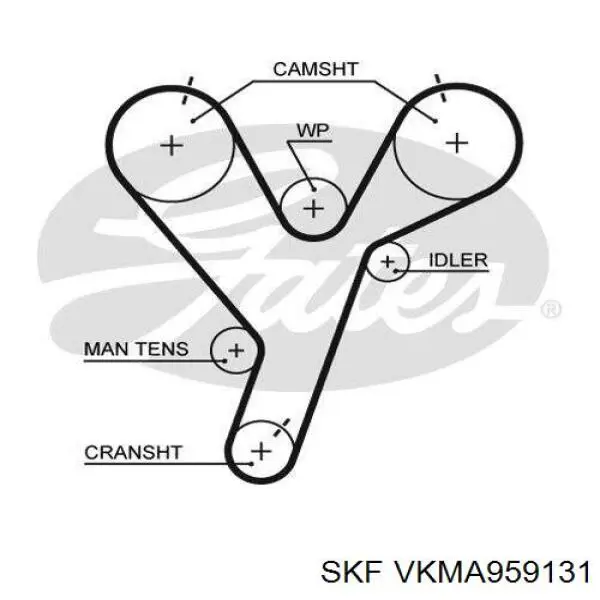 Comprar VKMA959131 SKF Kit de correa de distribución