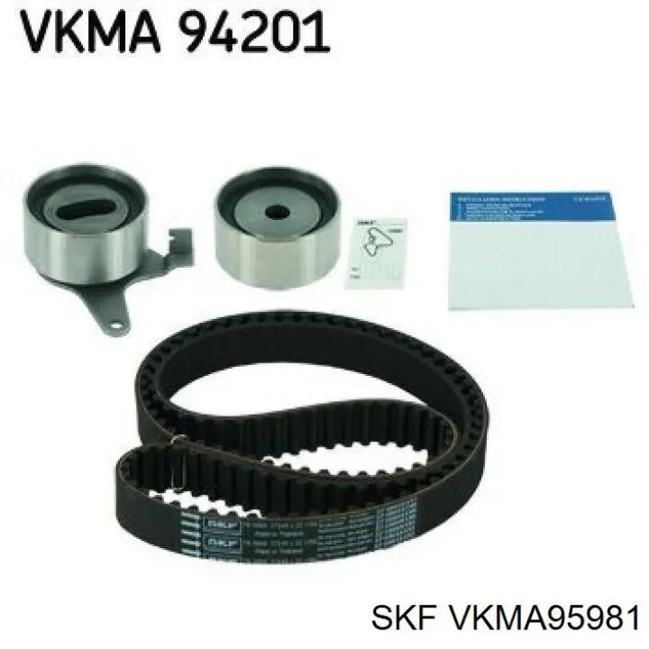 VKMA95981 SKF kit de correa de distribución