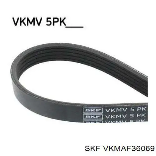 VKMAF36069 SKF correa de transmisión