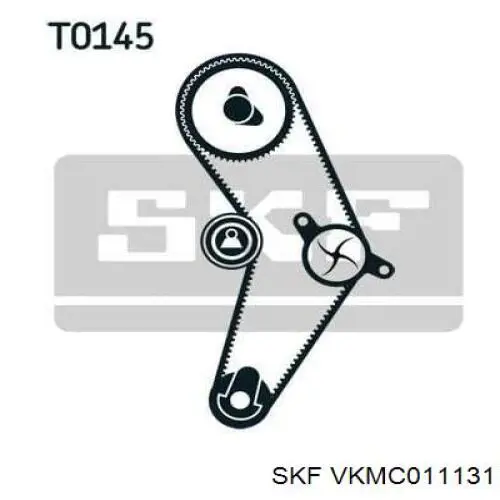 VKMC 01113-1 SKF kit de correa de distribución