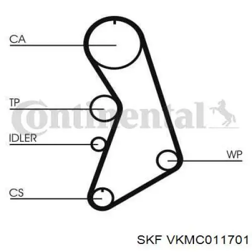 VKMC011701 SKF kit de correa de distribución