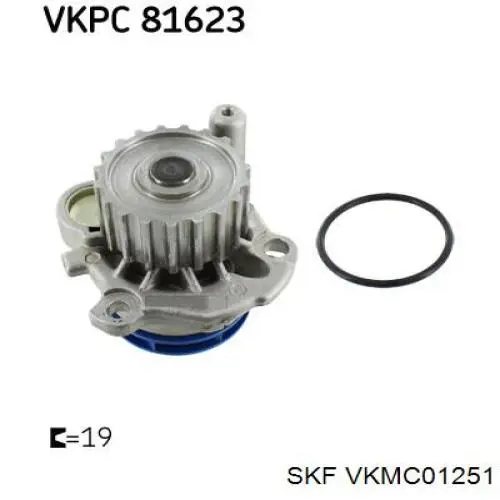 Juego de correas dentadas SKF VKMC01251 precio, desde 141,54 EUR