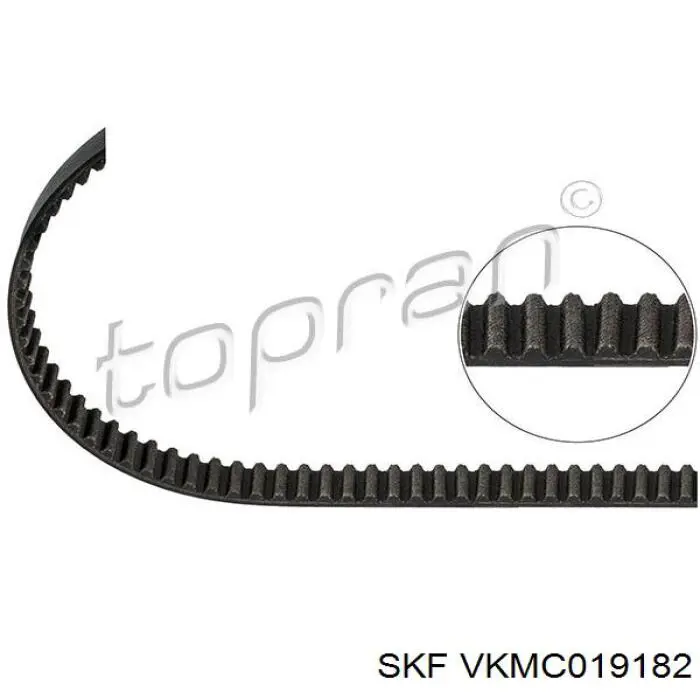 VKMC 01918-2 SKF kit de correa de distribución