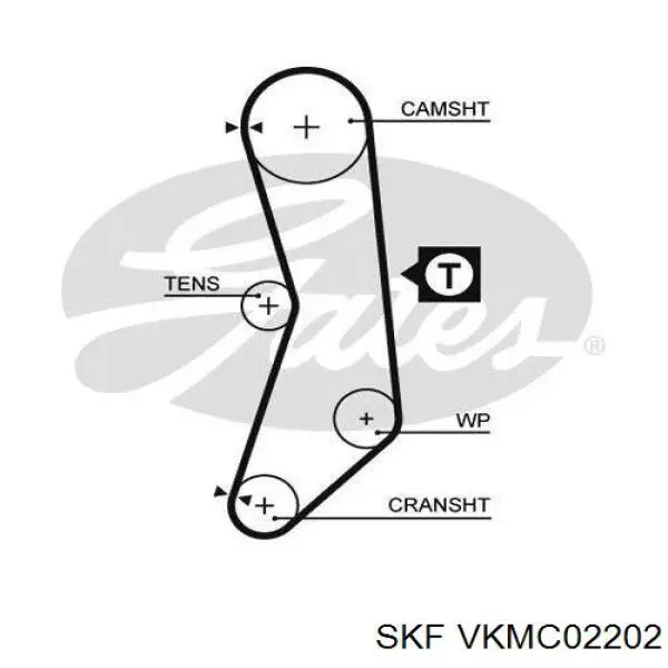 VKMC 02202 SKF kit de correa de distribución