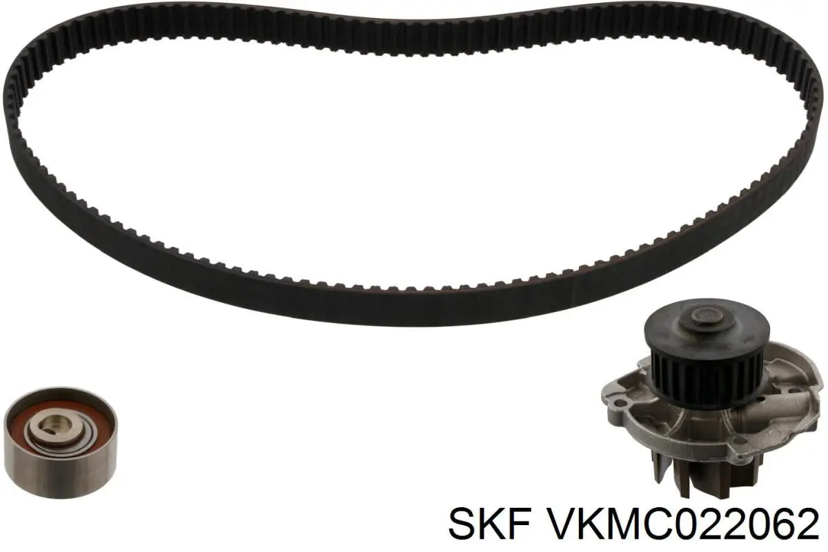Juego de correas dentadas SKF VKMC022062 precio, desde 63,25 EUR