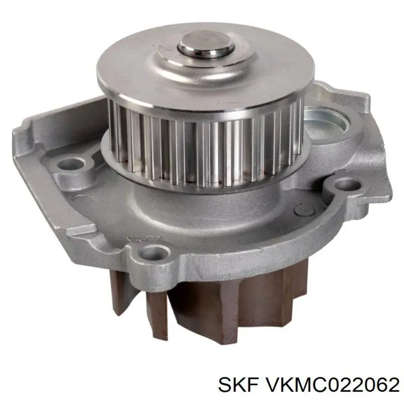 Comprar VKMC022062 SKF Kit de correa de distribución