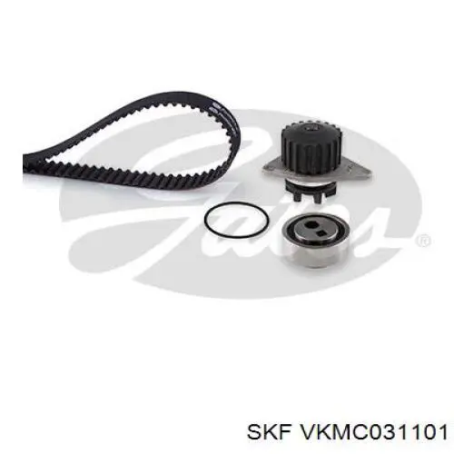 VKMC031101 SKF kit de correa de distribución