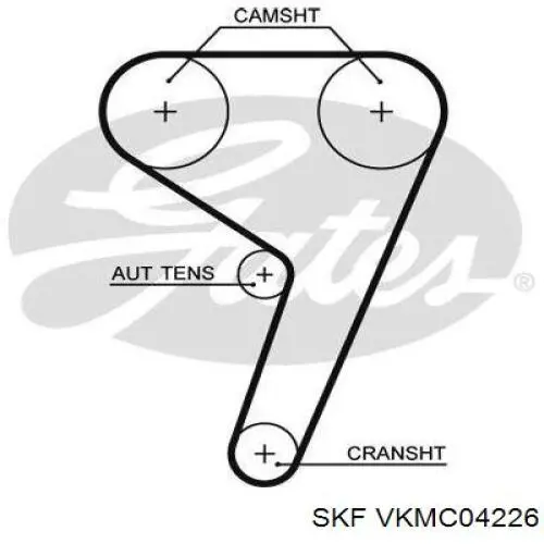VKMC04226 SKF Kit correa de distribución