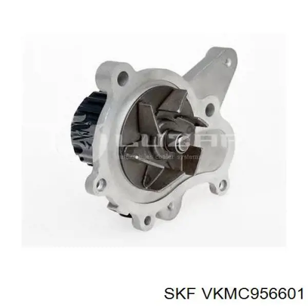 Kit de distribución VKMC956601 SKF