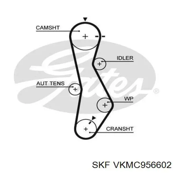 VKMC956602 SKF