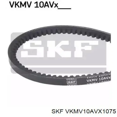 VKMV 10AVX1075 SKF correa trapezoidal