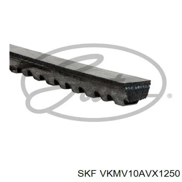 VKMV10AVX1250 SKF correa trapezoidal