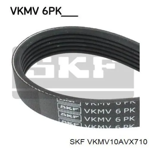 VKMV10AVX710 SKF correa trapezoidal