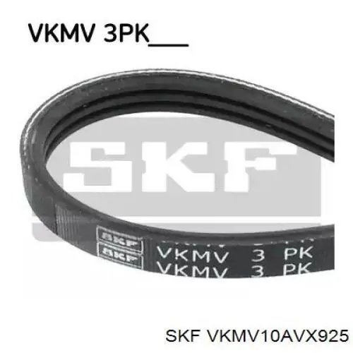 VKMV10AVX925 SKF correa trapezoidal