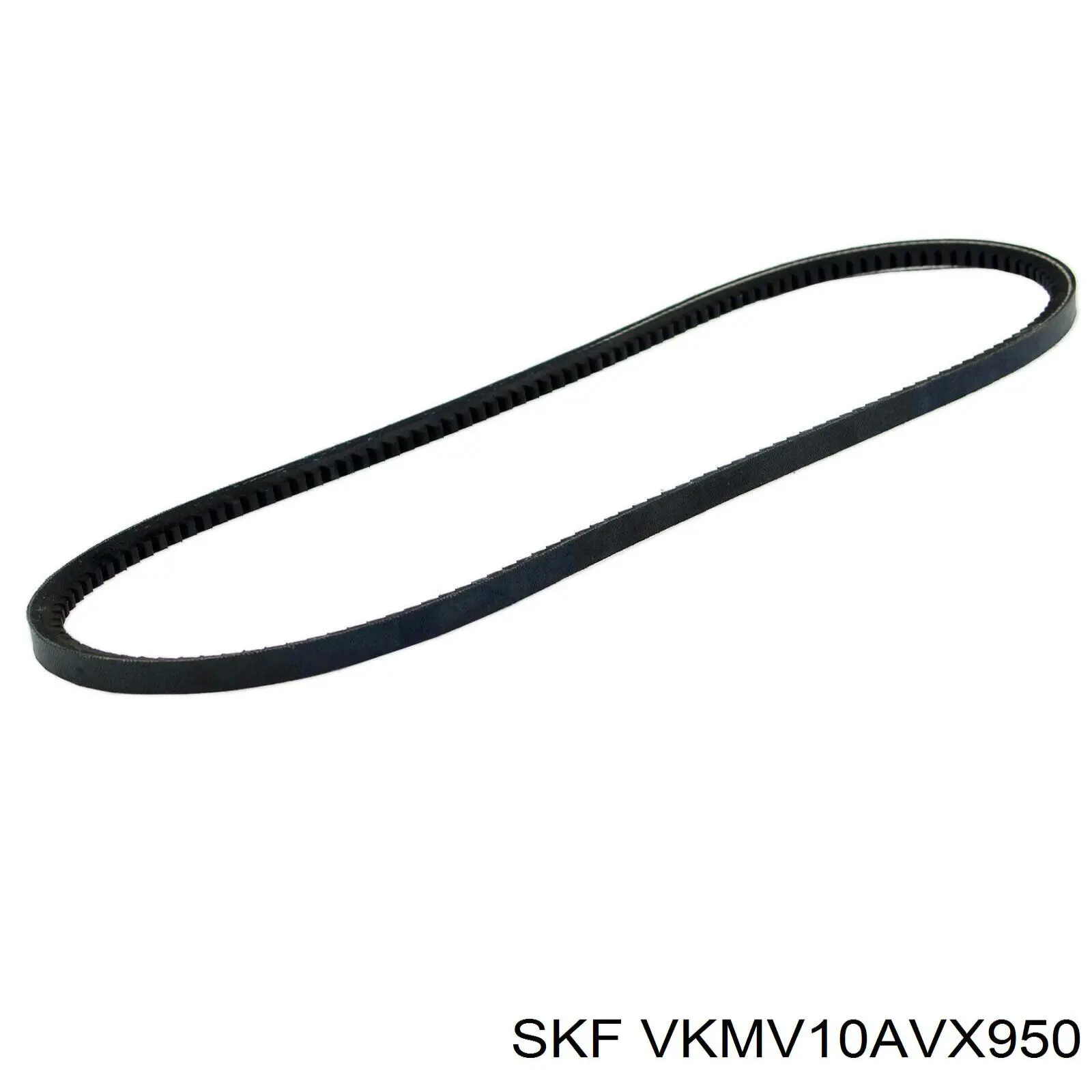 VKMV10AVX950 SKF correa trapezoidal